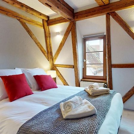 Ferienwohnung La Balade De Molly Colmar Exterior foto