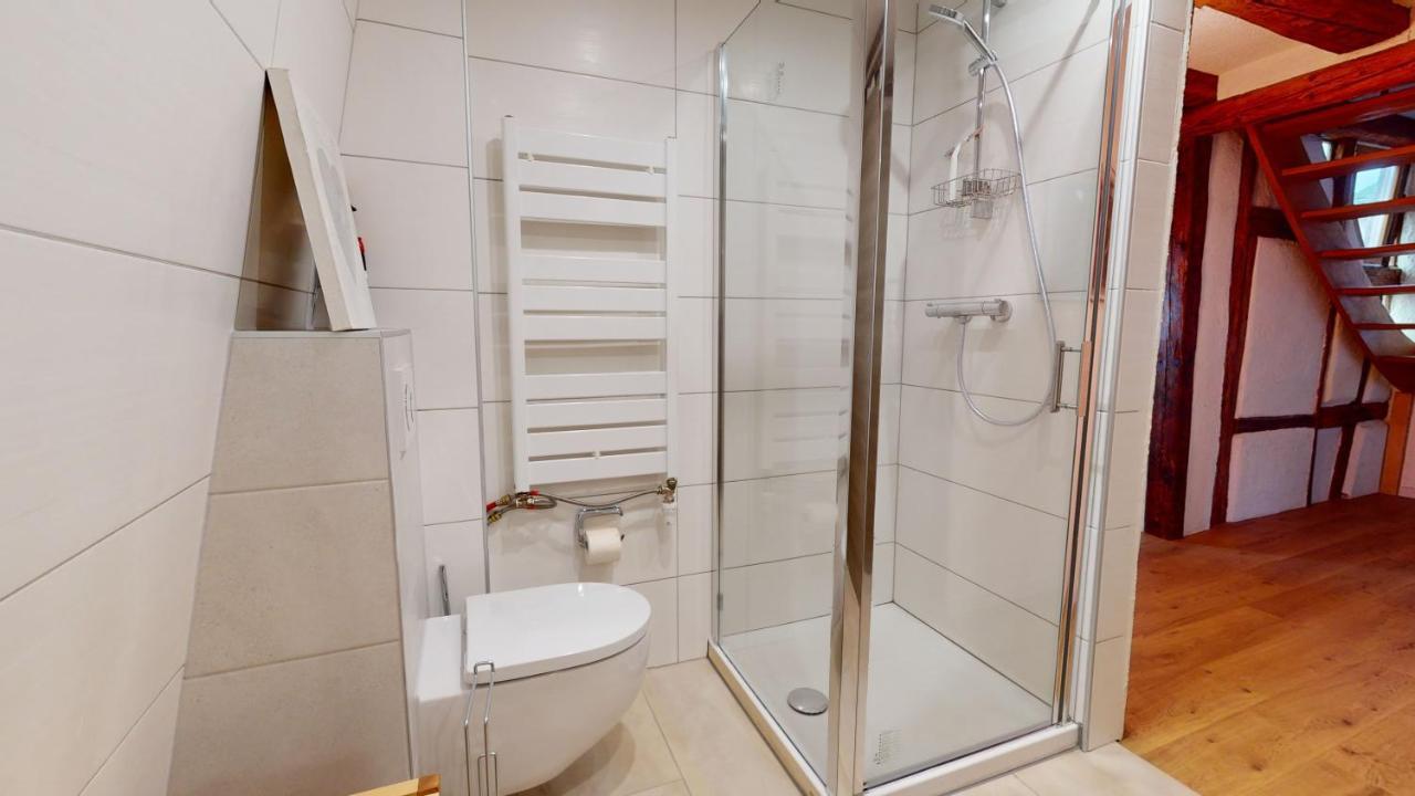 Ferienwohnung La Balade De Molly Colmar Exterior foto