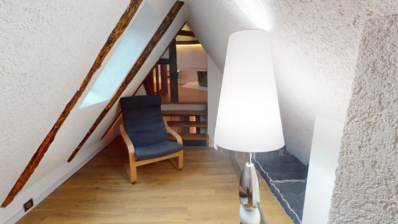Ferienwohnung La Balade De Molly Colmar Exterior foto