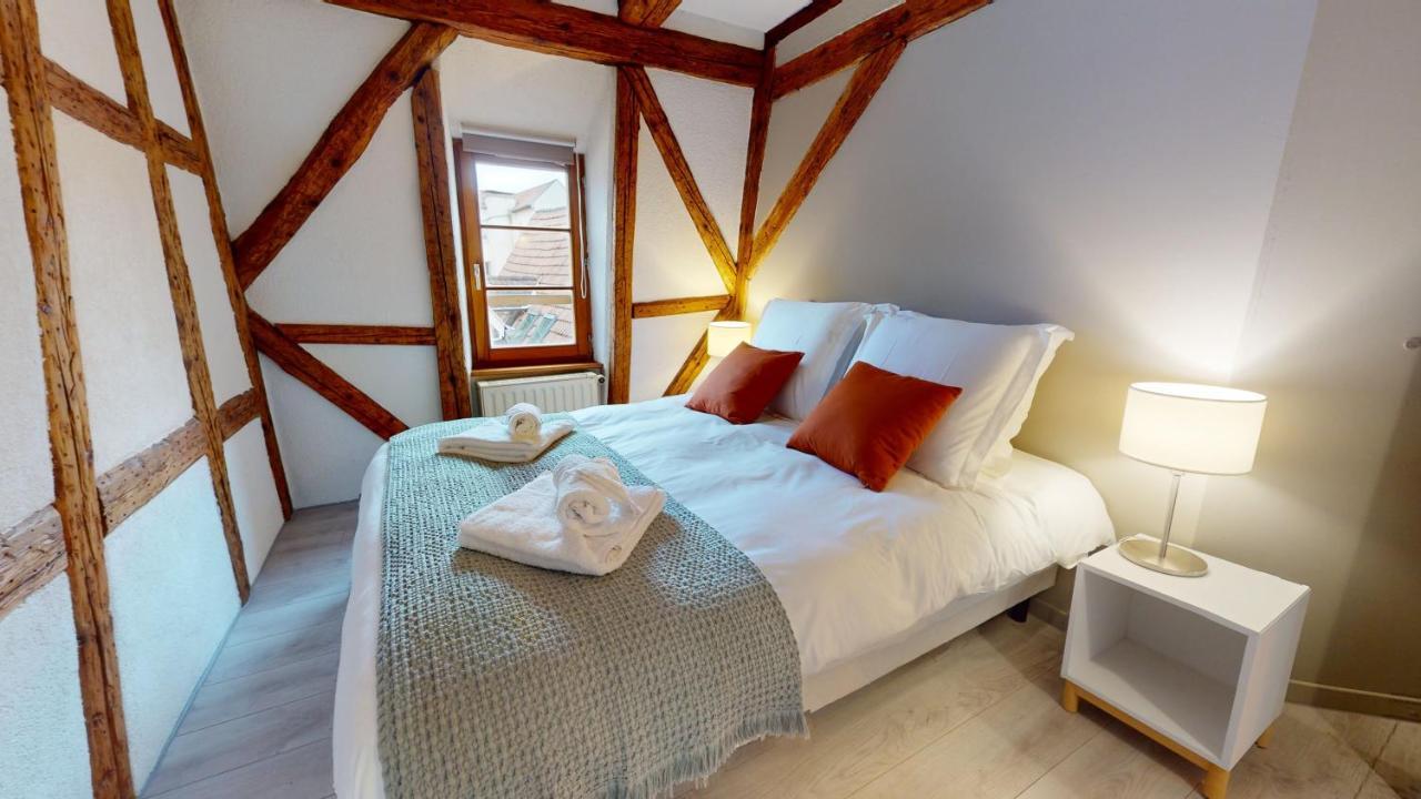 Ferienwohnung La Balade De Molly Colmar Exterior foto